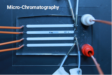 Micro-chromatography devices provide upstream sample preparation for biosensor systems.
