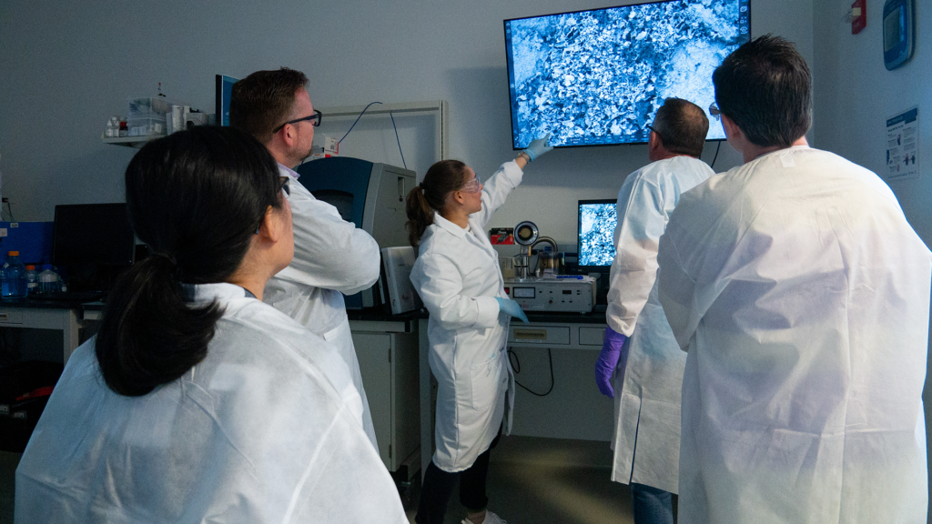 Biopharmaceutical Lyophilization and Spray Drying course participants use scanning electron microscopy to examine structural features associated with a lyophilized cake.