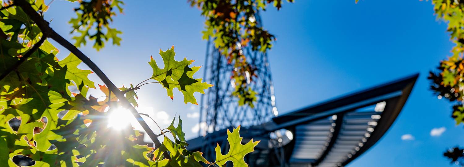 Fall leaves frame the Technology Tower at Talley Student Union (Photo credit: Becky Kirkland)