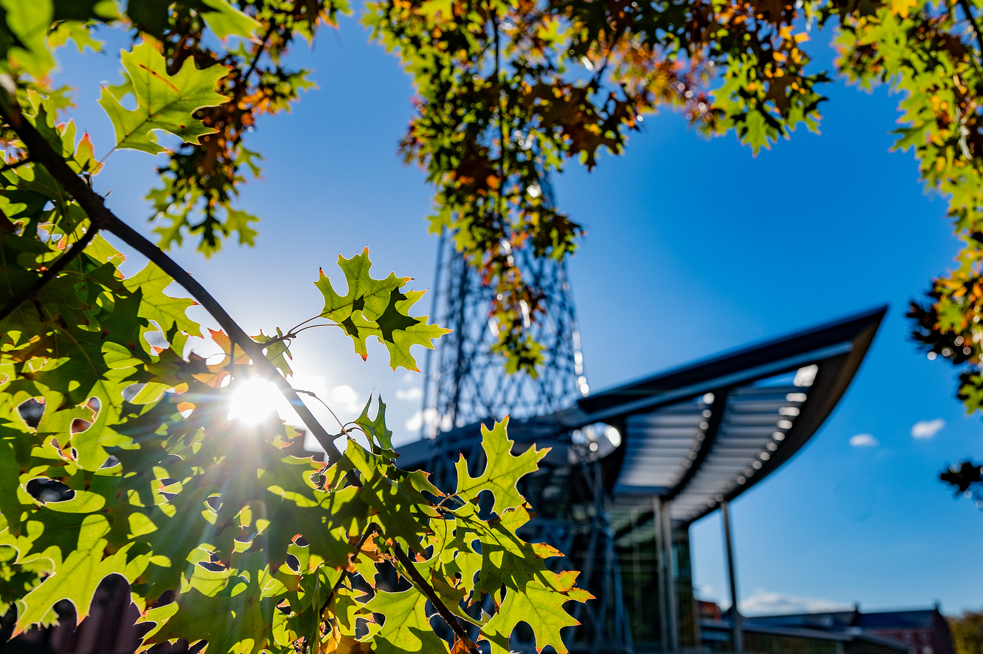 Fall leaves frame the Technology Tower at Talley Student Union (Photo credit: Becky Kirkland)